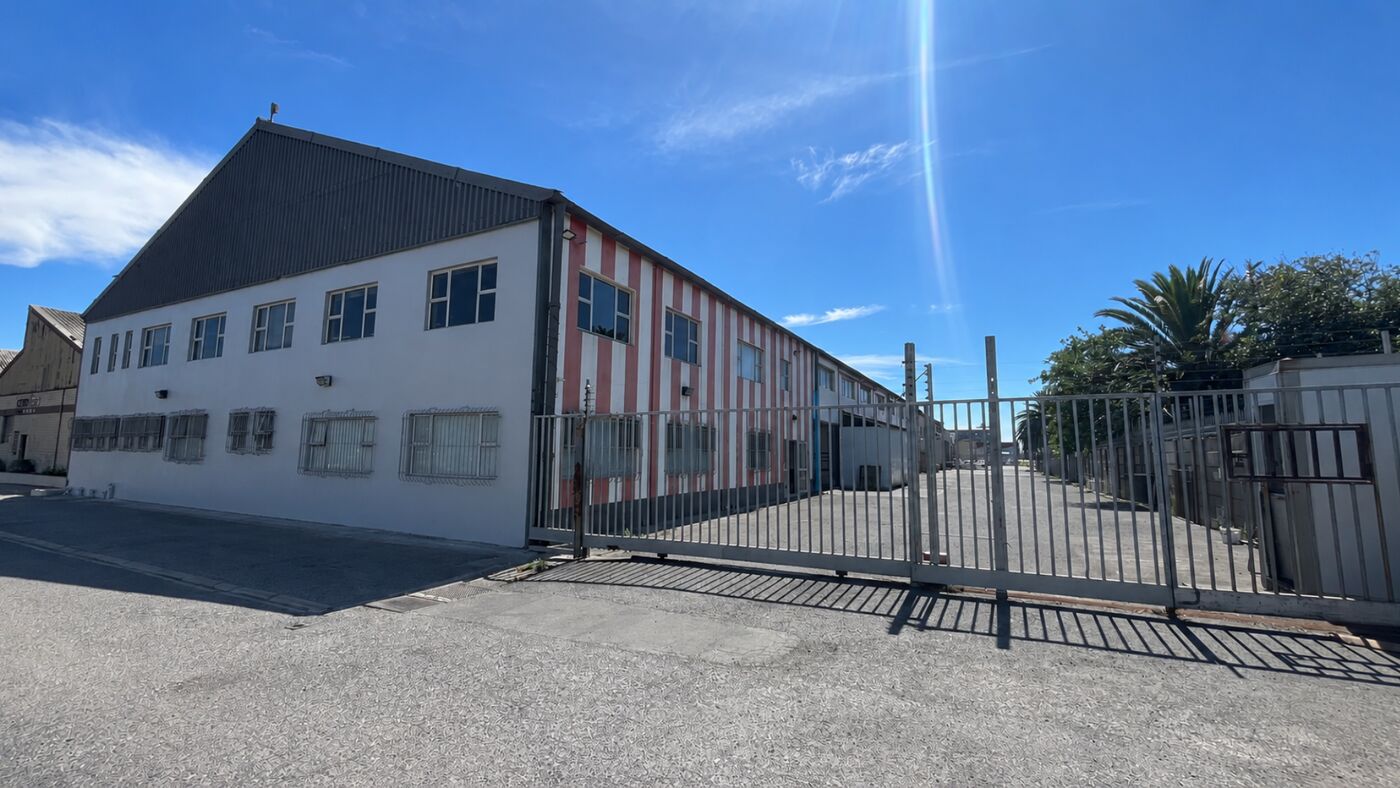 9 Loop Street, Maitland — office space 1