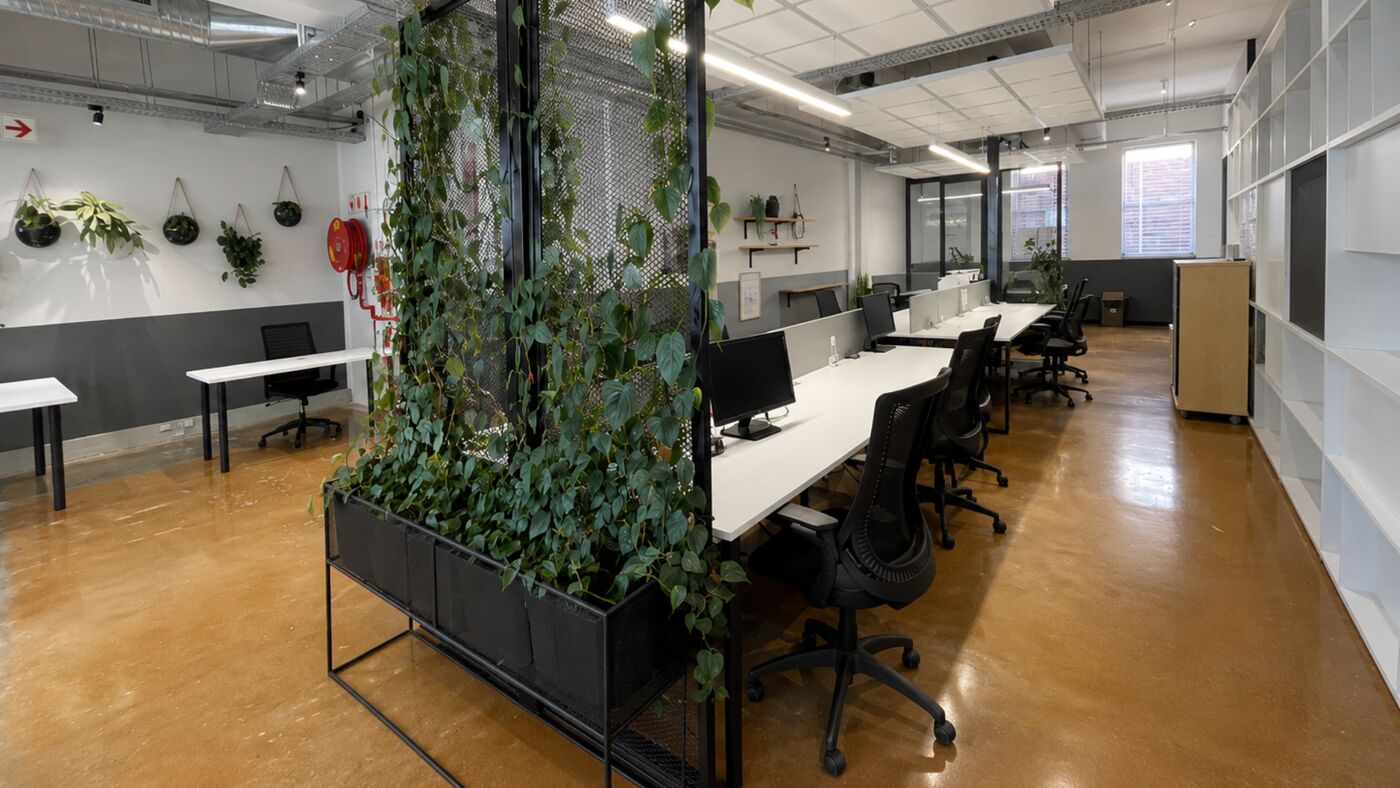 The Palms, Woodstock — office space 3